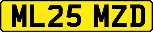 ML25MZD
