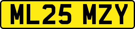 ML25MZY