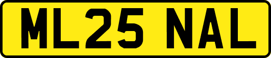 ML25NAL