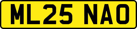ML25NAO