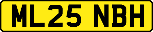 ML25NBH
