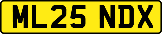 ML25NDX