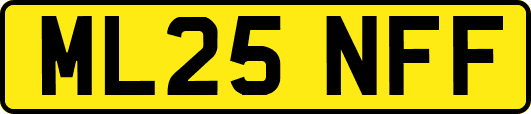 ML25NFF