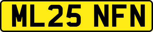 ML25NFN