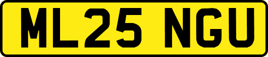 ML25NGU