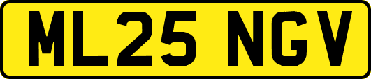 ML25NGV