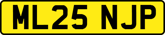 ML25NJP