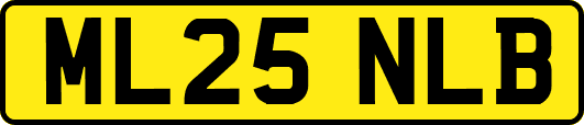 ML25NLB