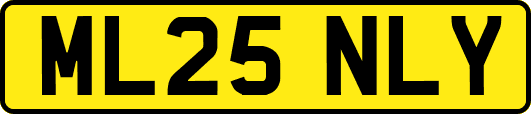 ML25NLY