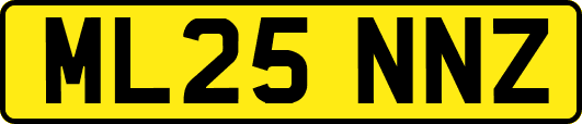 ML25NNZ
