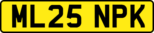 ML25NPK