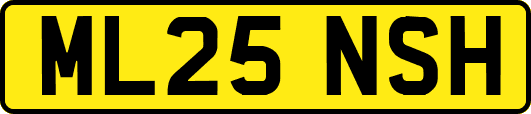 ML25NSH