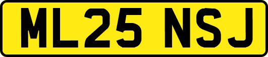 ML25NSJ