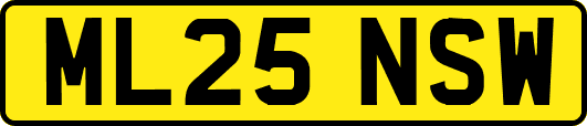 ML25NSW