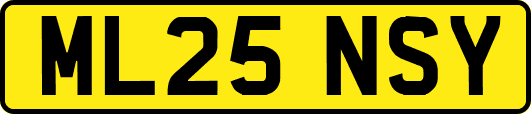 ML25NSY