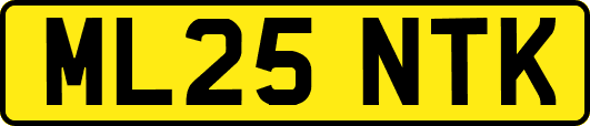 ML25NTK