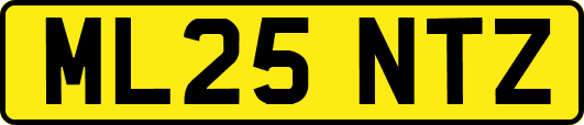 ML25NTZ