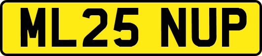 ML25NUP