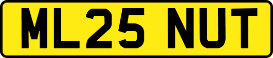 ML25NUT