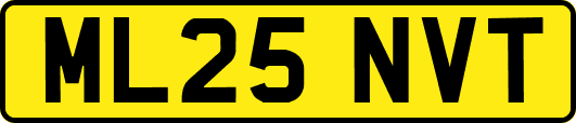 ML25NVT