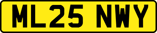 ML25NWY