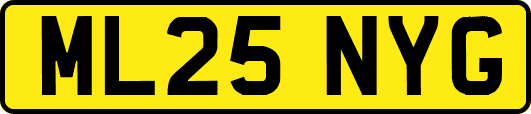 ML25NYG