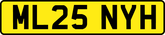 ML25NYH