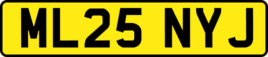 ML25NYJ