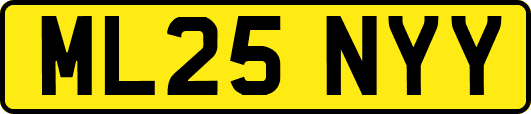 ML25NYY