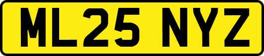 ML25NYZ