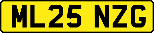 ML25NZG