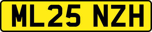 ML25NZH