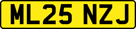ML25NZJ