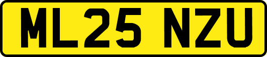 ML25NZU