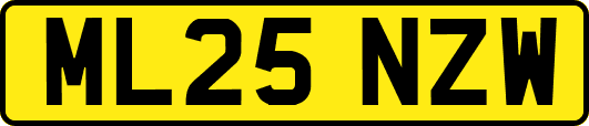 ML25NZW