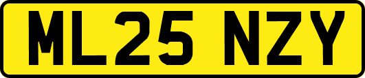 ML25NZY