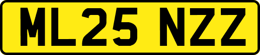 ML25NZZ