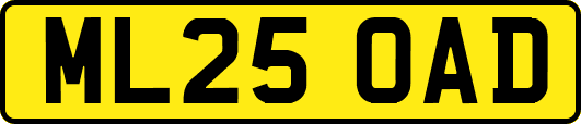 ML25OAD