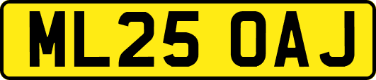 ML25OAJ