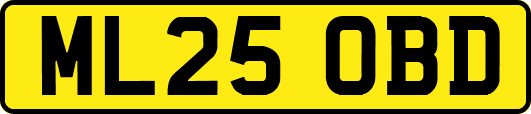 ML25OBD