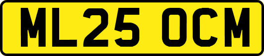 ML25OCM