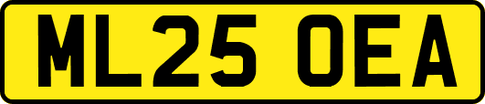 ML25OEA