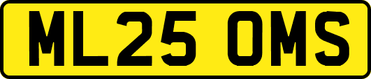 ML25OMS