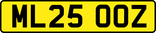 ML25OOZ