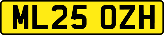 ML25OZH