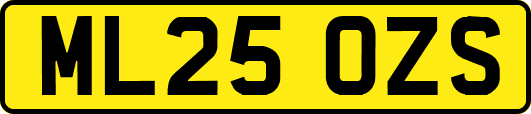 ML25OZS