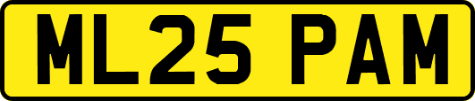 ML25PAM
