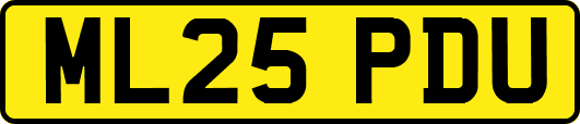 ML25PDU