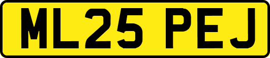 ML25PEJ
