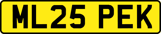 ML25PEK